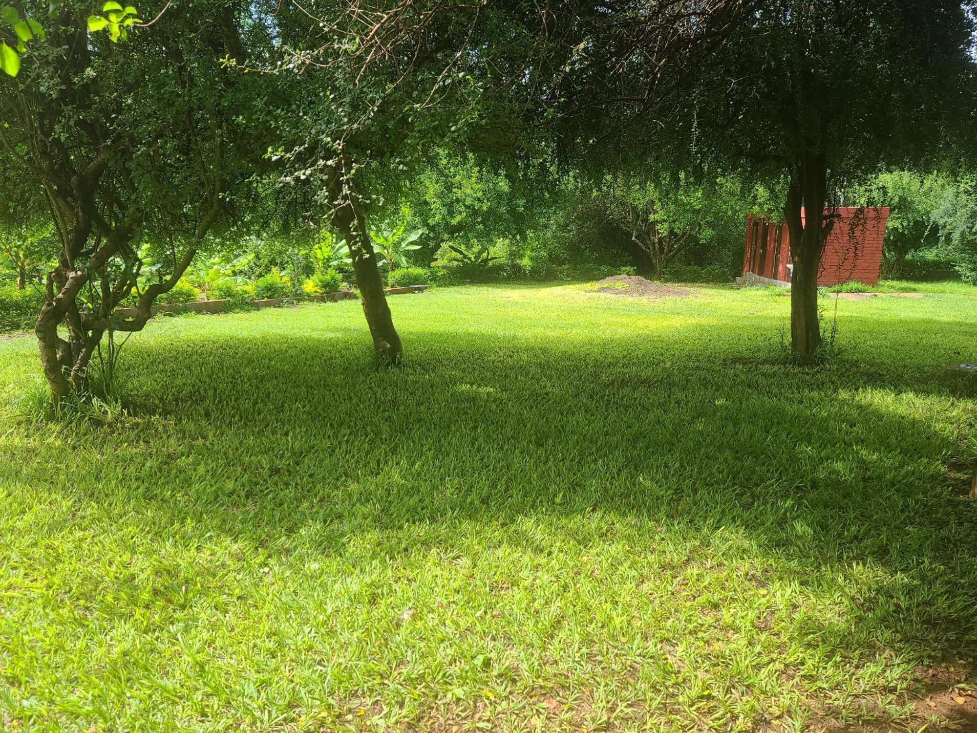 Mkomazi Hotels And Camps Hegoma Εξωτερικό φωτογραφία