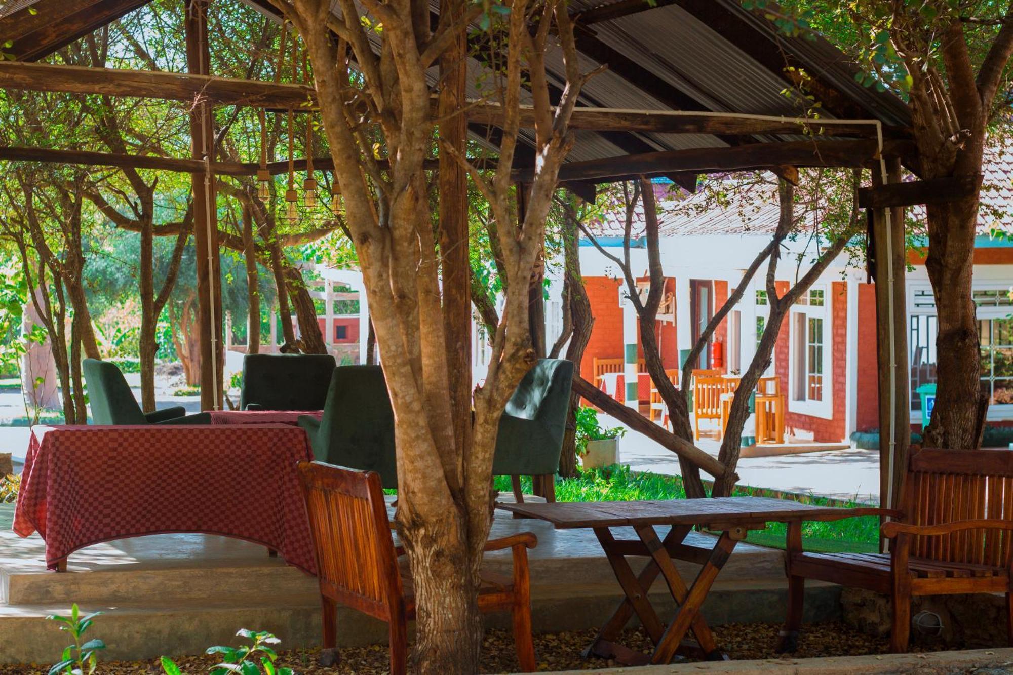 Mkomazi Hotels And Camps Hegoma Εξωτερικό φωτογραφία