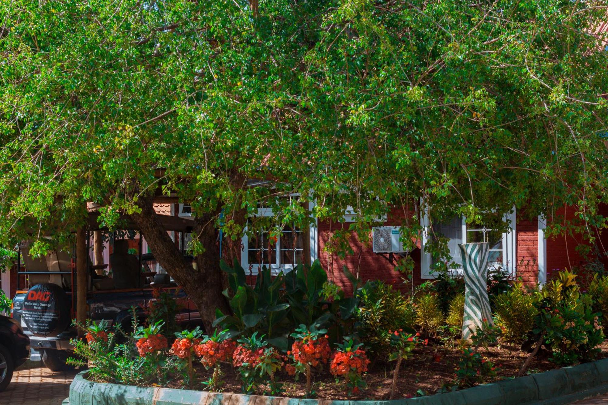 Mkomazi Hotels And Camps Hegoma Εξωτερικό φωτογραφία
