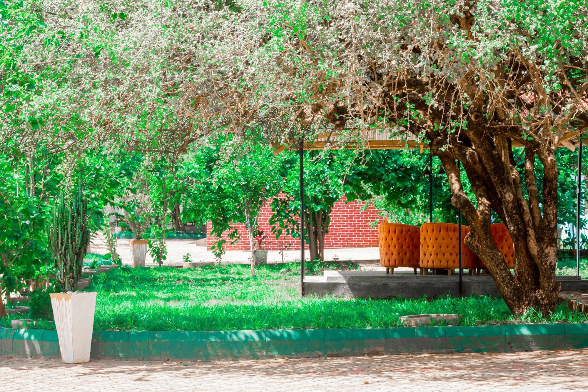 Mkomazi Hotels And Camps Hegoma Εξωτερικό φωτογραφία